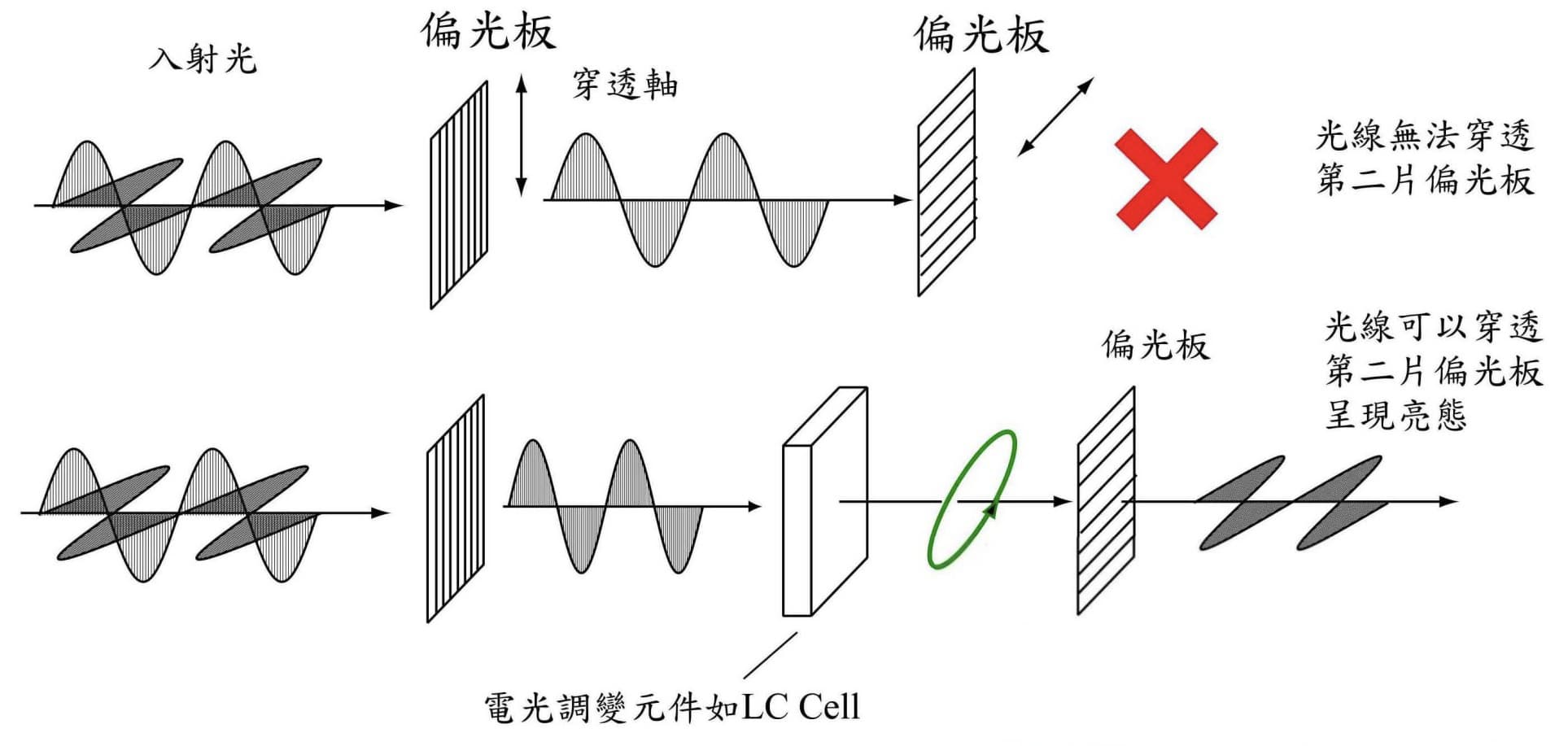 The Precision Dance of Light and Shadow: Exploring the Inner Workings of LCD Display Technology